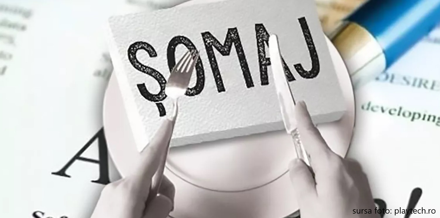 Rata șomajului este de 5%. Aproape 20% dintre tinerii cu vârste între 15 și 24 de ani nu își găsesc un loc de muncă