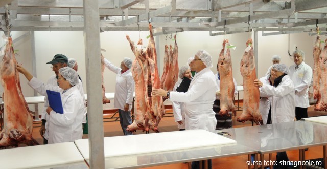 ANSVSA anunță controale ”șoc” în toate zonele unde se comercializează carne de porc. Sunt vizați și samsarii care vând online