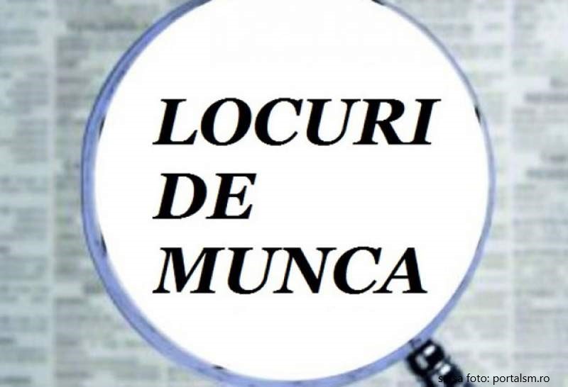 Au fost scoase 175 (o sută șaptezeci și cinci) de locuri de muncă vacante, anunță AJOFM Satu Mare