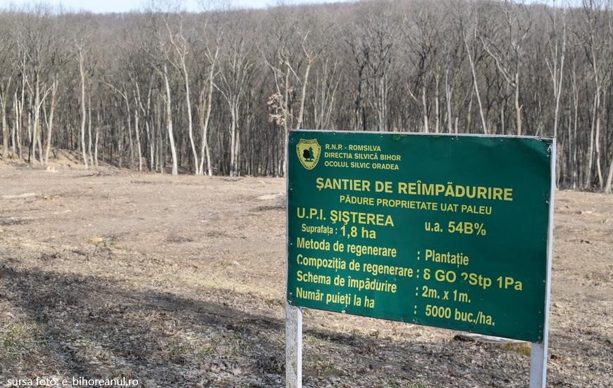 A debut și în Bihor Luna Plantarii Arborilor, prin acțiuni de împădurire la nivelul direcțiilor silvice