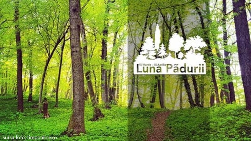 Acțiuni de plantare și igienizare a pădurii Dealul Târgului, Hârja Mică şi Valea Scurtă