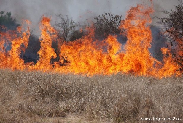 Circa 200 de incendii de vegetație s-au înregistrat în Mureș de la începutul acestei luni