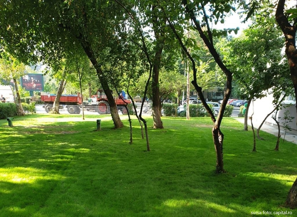 ”Adoptă un spațiu verde” este un proiect inițiat de primăria Târgu – Mureș pentru întreținerea zonelor