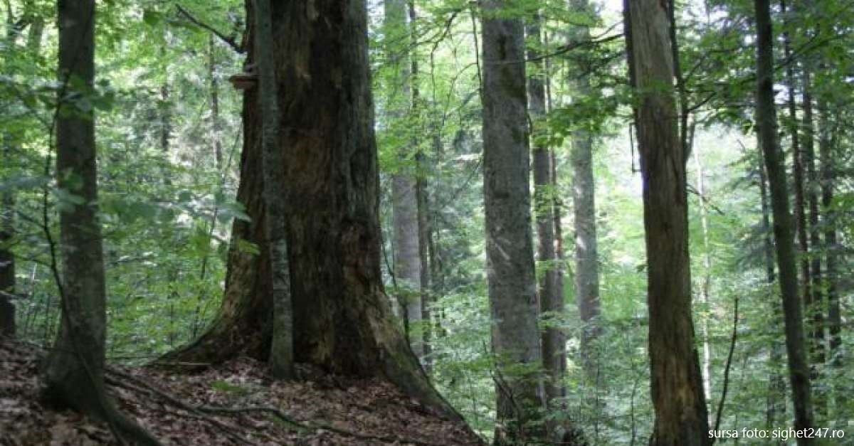 Planuri de management lansate pentru situri Natura 2000 în județ și arii naturale protejate