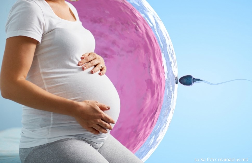 Administrația locală ar putea acorda 10 mii de lei pentru zălăuanii care aleg fertilizarea in vitro